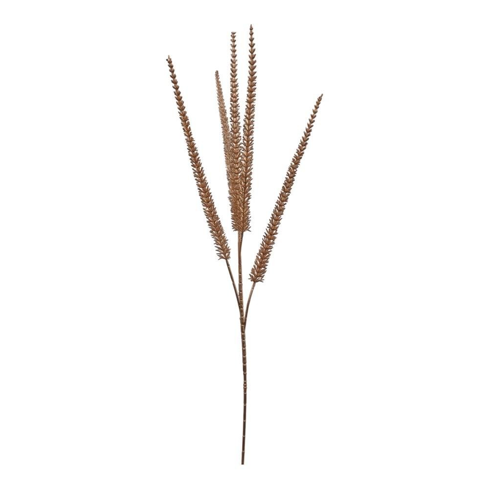 AMARANTHUS x 5 CM.91 ORO